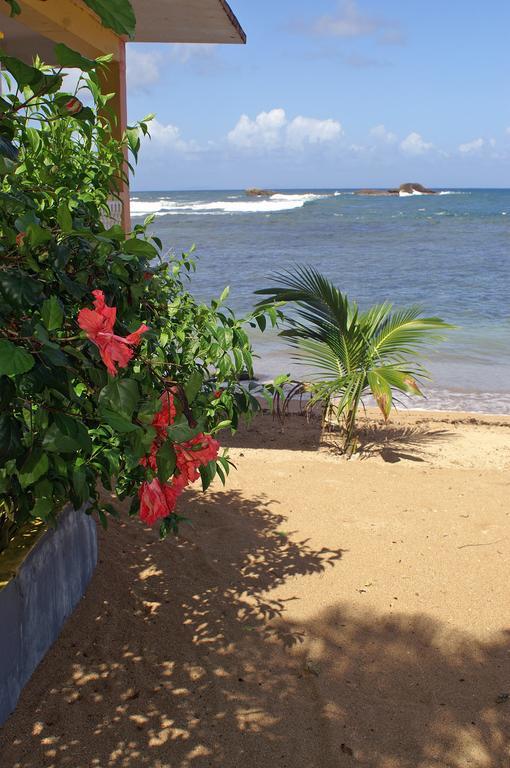 Veranda View Guesthouse Calibishie ภายนอก รูปภาพ