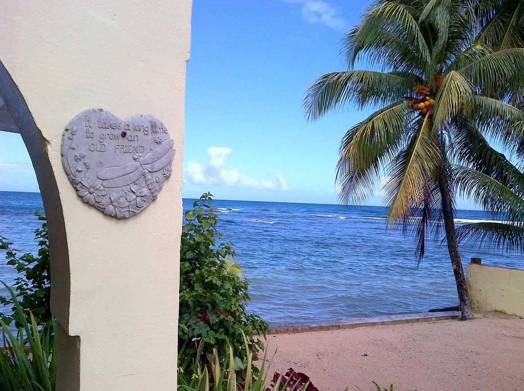 Veranda View Guesthouse Calibishie ภายนอก รูปภาพ